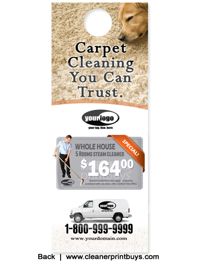 Carpet Cleaning Door Hangers (4.25 x 11) #C1024 AQ Gloss Front