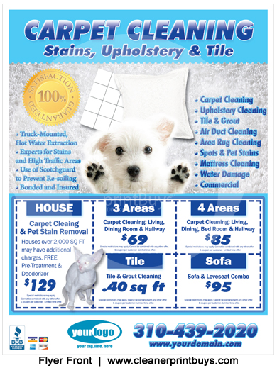 Carpet Cleaning Flyer (8.5 x 11) #C0005