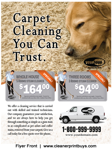 Carpet Cleaning Flyer (8.5 x 11) #C1024
