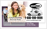 Carpet Cleaning Business Cards # C1020
