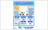 Carpet Cleaning EDDM Postcard Template # C0005 8.5 x 11