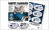Carpet Cleaning EDDM Postcard Template # C0007 8.5 x 11