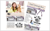 Carpet Cleaning Flyers C1020 8.5 x 5.5