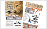 Carpet Cleaning Flyers C1024 8.5 x 5.5