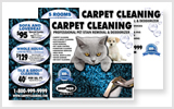 Carpet Cleaning Postcards c0007